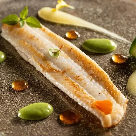 Color Style, Design & Gourmet فندق 4*