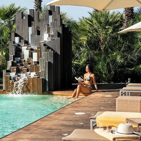 Color Style, Design & Gourmet