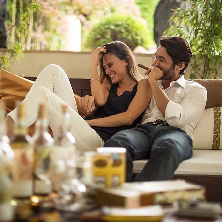 Color Style, Design & Gourmet 4*